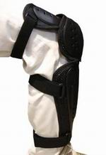 DAiNESE @